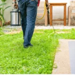 Termite Specialist Sydney