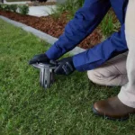 Termite Protection Sydney