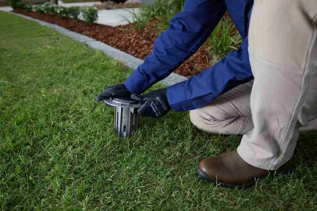 Termite Protection Sydney