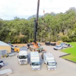 Protecting Your Garden: Advice from an Expert Arborist St Ives