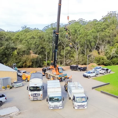 Protecting Your Garden: Advice from an Expert Arborist St Ives